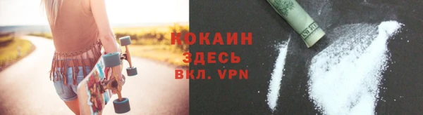 кокс Вяземский