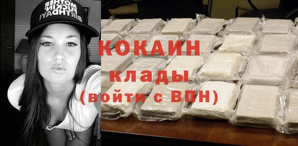 кокс Вяземский