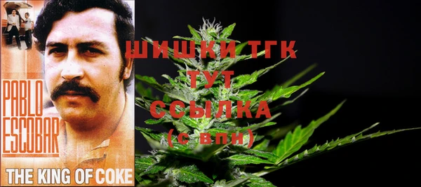jwh Вязьма