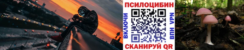 Галлюциногенные грибы мухоморы  Купить  Вологда 